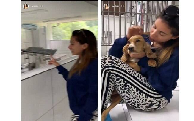 Anitta visitou o Instituto Luisa Mell e conheceu alguns dos cachorros que foram resgatados recentemente 