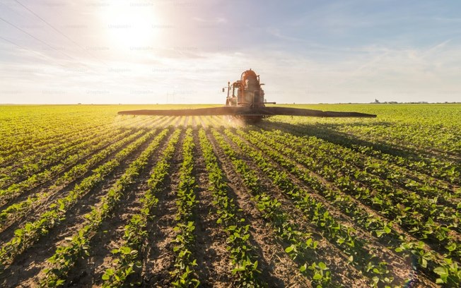 Derivados de potássio entregam eficiência e escala ao agro