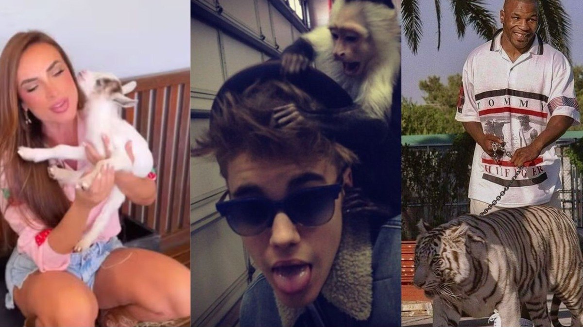 Léo Foguete deixa Jade Picon sem reação ao cantar música dedicada