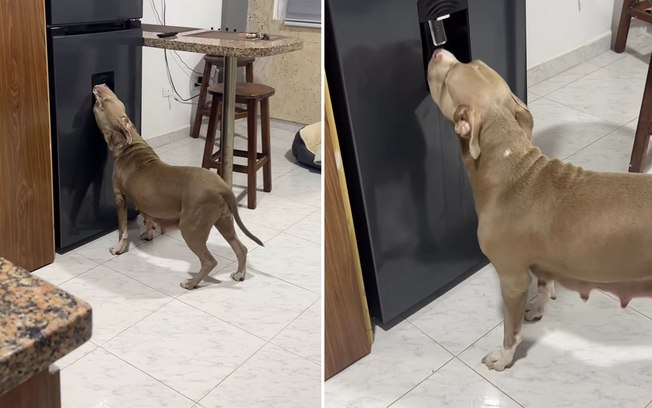 2e7tar38bhshyyp99b08k9cd4