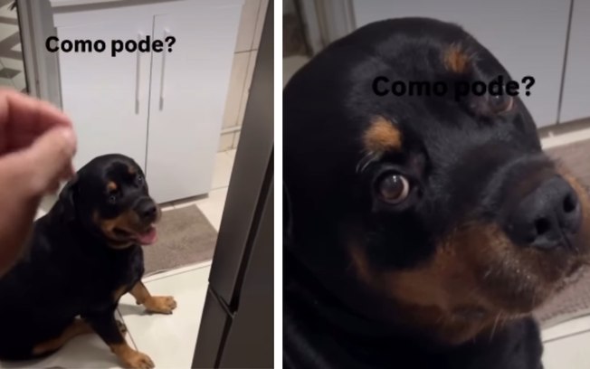 2ejpzmf3oiphclomwtnnnfszh