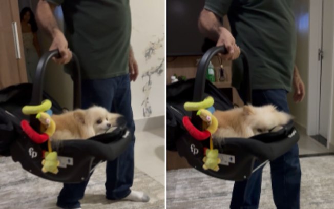 2ek4iz12w1e5v4xw5b28w3z3d