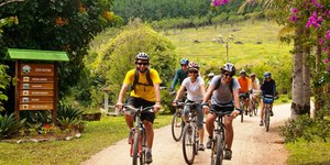 Circuito das Frutas: conheça o rota de cicloturismo em São Paulo