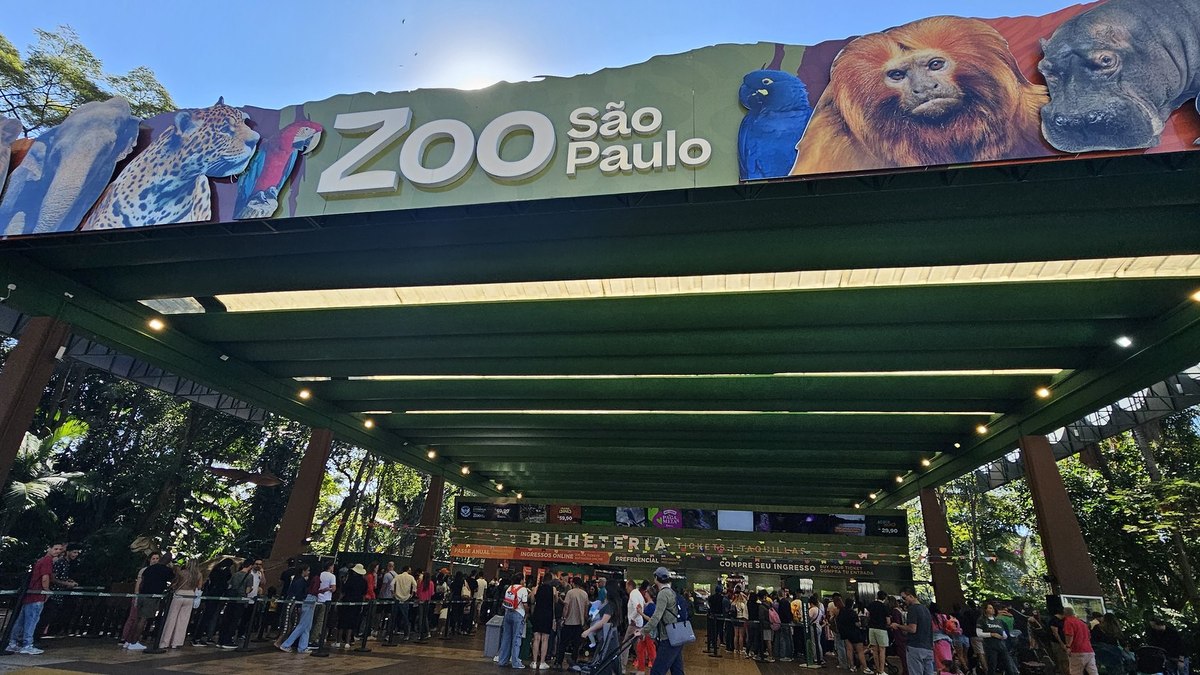 Zoo SP: comprovante de voto dá entrada grátis neste domingo (25) - Foto