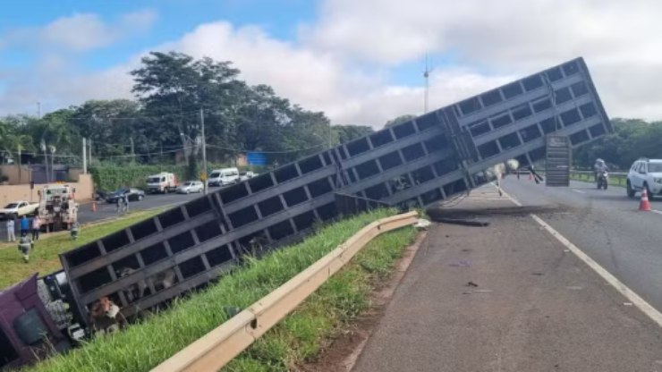 Caminhão carregado com bezerros tomba na BR-153 após colisão