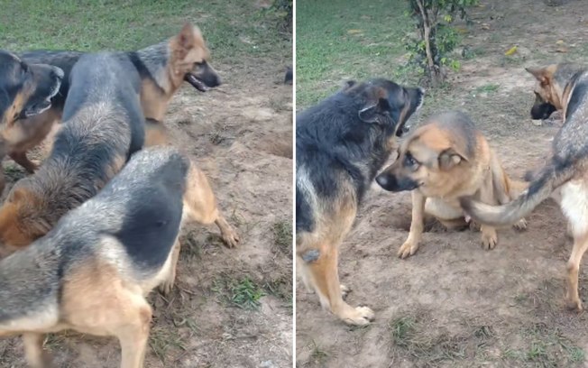 2f6h1jf4cigt5pxq8mtkg1vqe