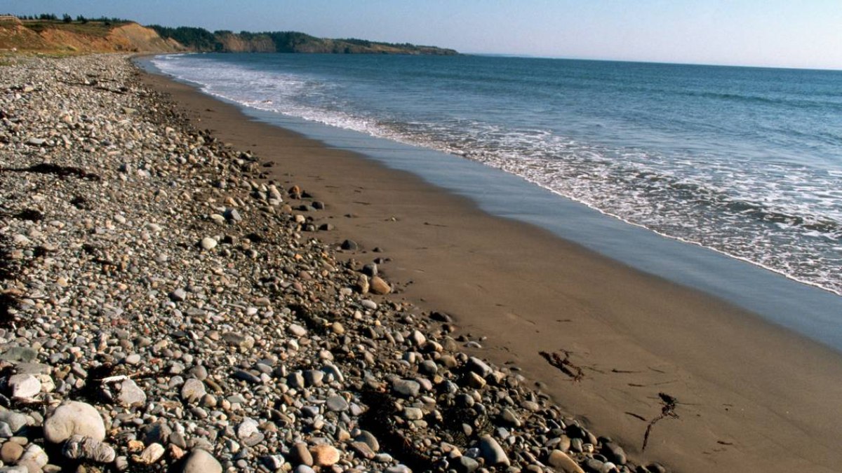 Perto das praias rochosas do interior da Nova Escócia, o palpite de um pesquisador levou à descoberta de uma nova espécie pré-histórica.