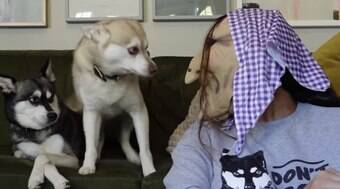 Tutora quase mata cães do coração com máscara horripilante