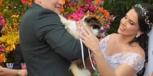 Noiva é surpreendida por cadelinha ciumenta em casamento