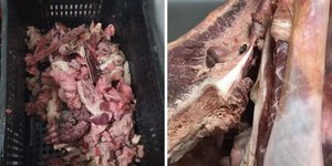 Dono de supermercado é preso com 400 kg de alimentos estragados
