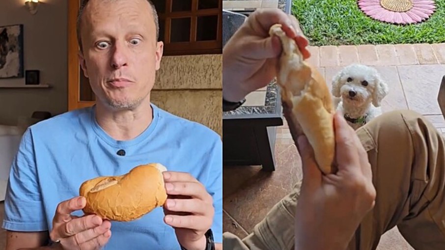 Cães podem comer pão? Veja os perigos Cães podem comer pão? Veja os perigos