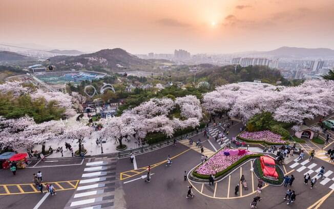 Daegu é uma cidade na Coreia do Sul com muitas belezas históricas