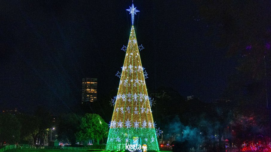 Árvore de Natal do Parque Ibirapuera