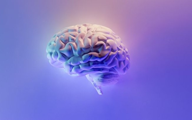 Tecido cerebral impresso em 3D cresce igual ao cérebro real
