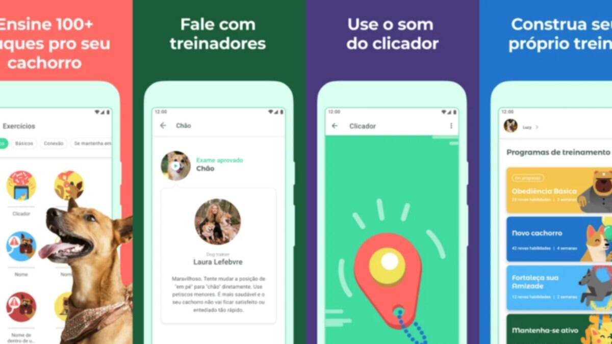 Aplicativos ajudam tutores nos cuidados com cachorros e gatos