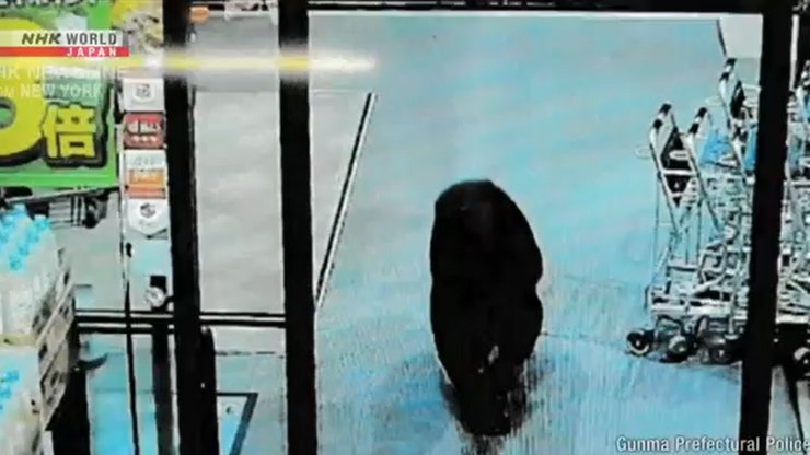 Duas pessoas ficam feridas em ataques de urso em supermercado