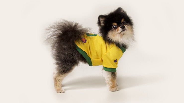 Craques do futebol inspiram nomes de cães e gatos no país