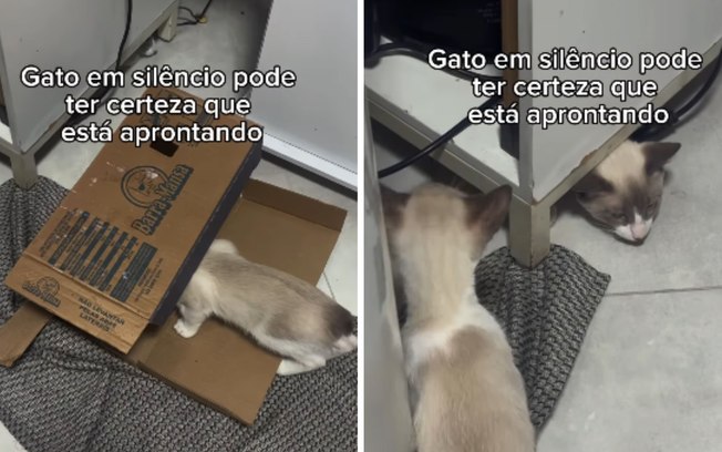 2i1tgkd0zn64tfh43e5or5exb