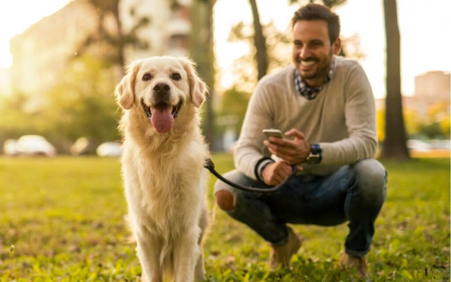 6 lugares para deixar seu animal de estimação durante as férias