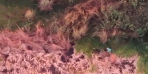 Drone ajuda PM a prender suspeito armado que planejava vingança