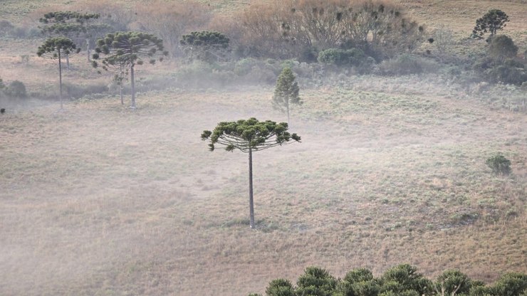 Frio%20extremo%20no%20Sul%3A%20m%C3%ADnima%20de%20-3%2C2%20C%20registrada%20em%20S%C3%A3o%20Joaquim