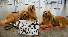Após morte de Joca, tutores se manifestam em aeroporto