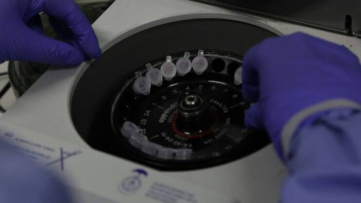 pa netshoes 02 jadlog