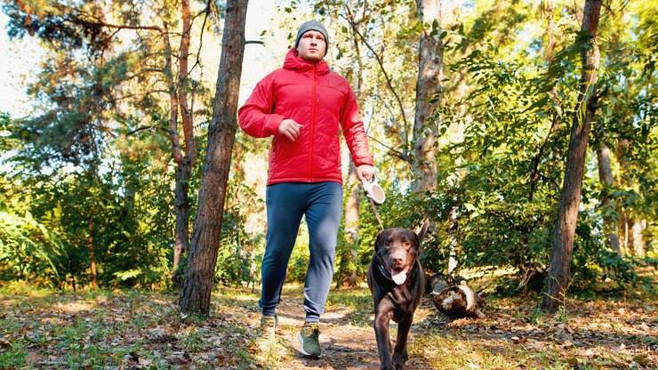 Passear com cachorro: caminhar e correr é bom?