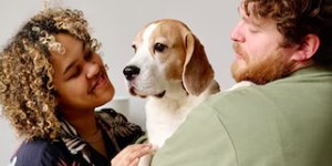 Devolver um cachorro adotado pode afetar o psicológico dele?