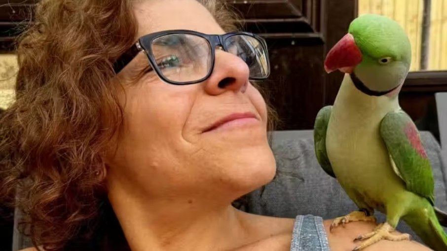 Periquito desaparecido reaparece a 160 km de casa Periquito desaparecido reaparece a 160 km de casa