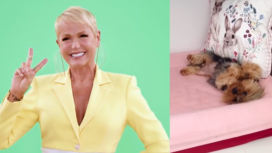 Xuxa conta que cachorra de estimação está com câncer