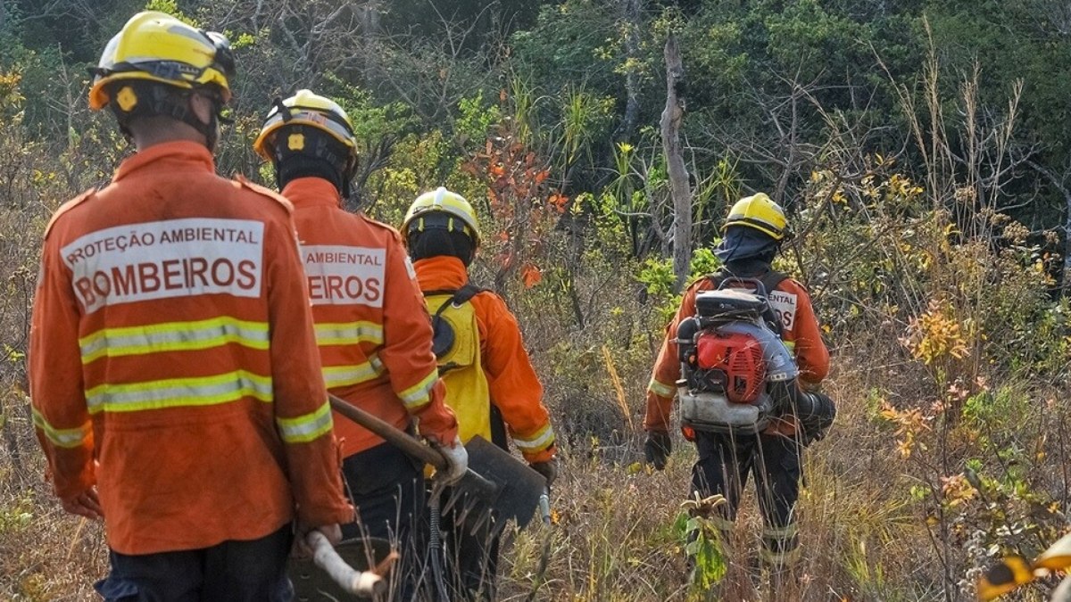 Em meio a seca histórica, bombeiros do DF diversificam estratégias contra incêndios florestais