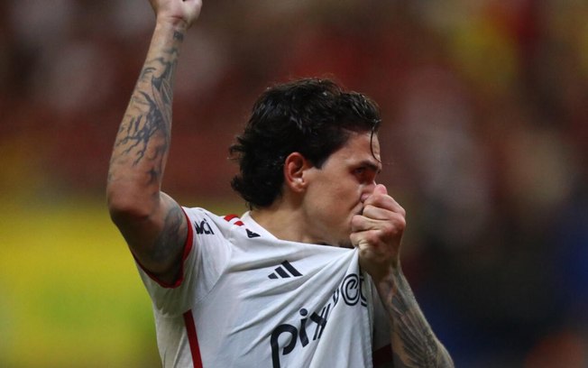 Pedro marcou o gol da vitória do flamengo, porém se envolveu em lance polêmico