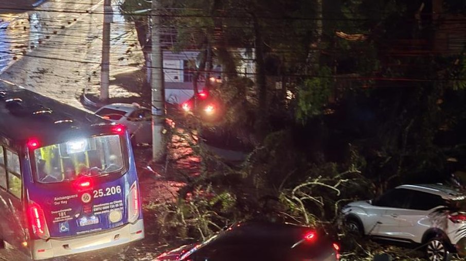 Pelo menos, menos sete pessoas morreram e mais de 1,4 milhão de moradores ficaram sem energia elétrica com as chuvas em São Paulo