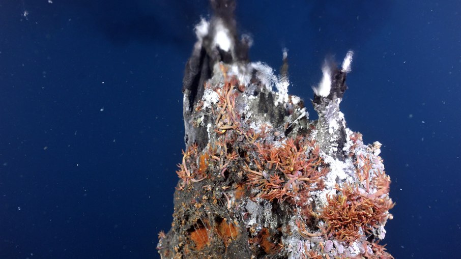 Uma fonte hidrotermal no Monte Submarino Axial apelidada de “El Guapo”. Uma fonte hidrotermal no Monte Submarino Axial apelidada de “El Guapo”.