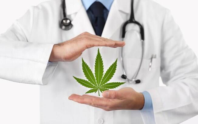 Neurologista explica como a Cannabis age no organismo humano; entenda também como será a prescrição médica