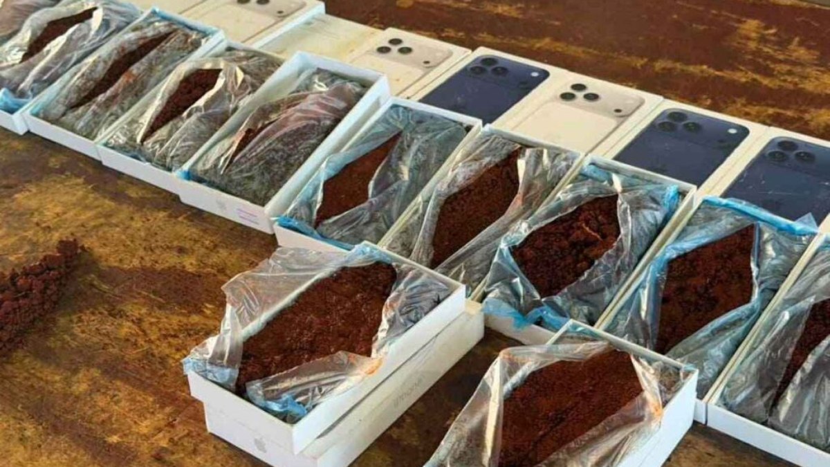 Imagem da Notícia