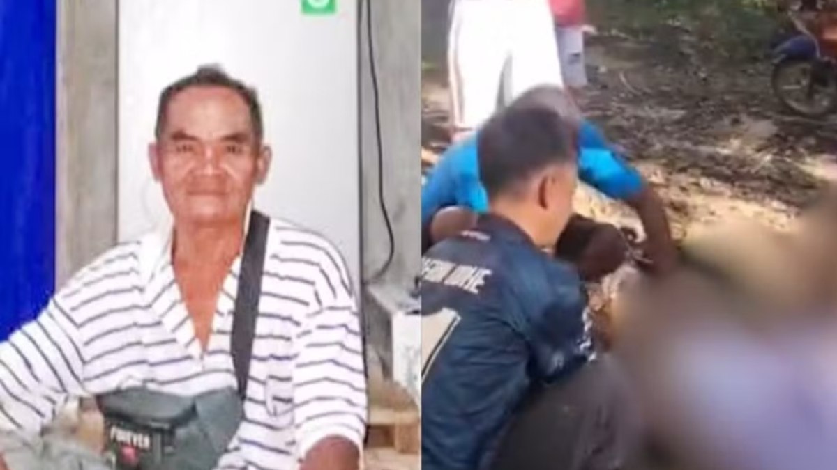 Agricultor é devorado por píton gigante em área rural; assista