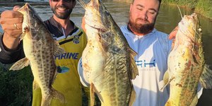 “Maior mandi do Brasil”: pescador captura exemplar de 3,2kg