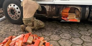 Cão farejador encontra 500 kg de maconha em caminhão de paraguaio