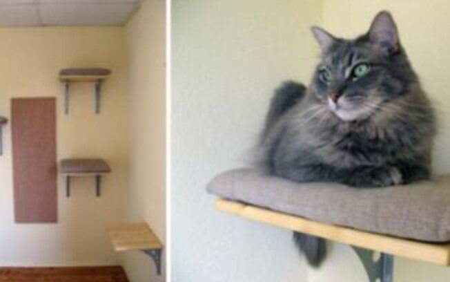 Uma cama de gato nas alturas é uma ótima opção, já que esses animais ama ficar no alto