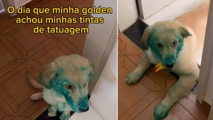 Golden apronta e aparece coberta de tinta verde: "Grinch"