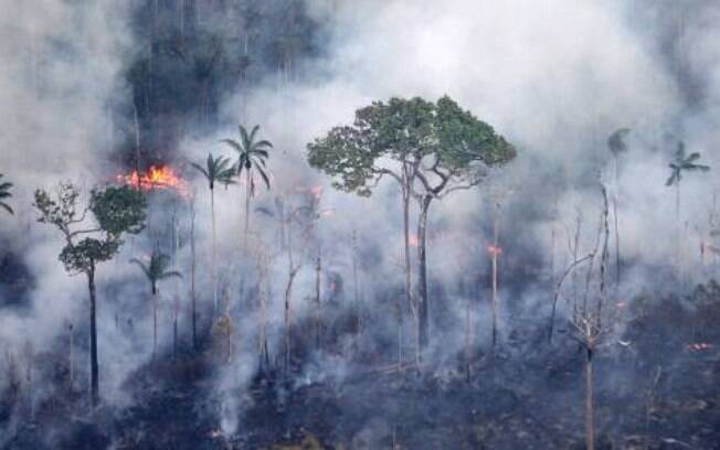 Em 2017 ocorreram mais de 275 mil focos de incêndio em todo o Brasil, sendo mais de 132 mil em estados amazônicos