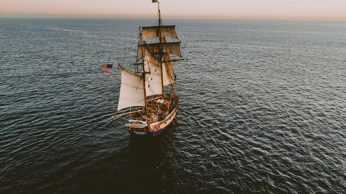 Nem cócegas: queda do The Pirate Bay quase não afetou a pirataria digital -  TecMundo