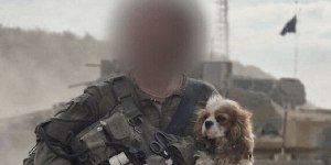 Cadela desaparecida no ataque do Hamas é encontrada viva