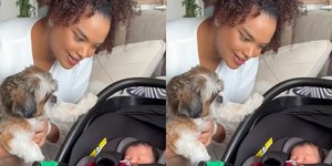 VÍDEO: Lucy Ramos mostra filha recém-nascida aos cães pela 1ª vez