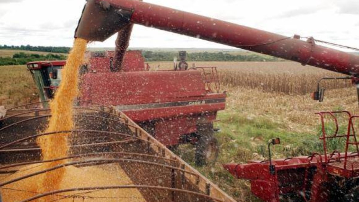 Produção Agrícola brasileira cresce