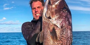 Mergulhador é devorado por tubarão durante pescaria no mar