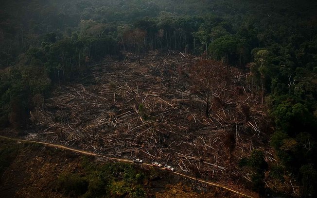 Perda da cobertura natural deixa Brasil mais vulnerável à crise climática