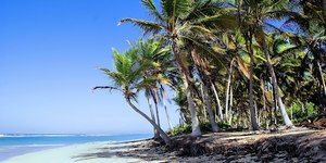 Punta Cana: o paraíso caribenho que conquistou os brasileiros